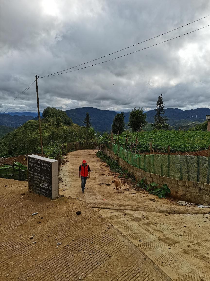 太阳集团网址8722-扶贫路上-陈宏